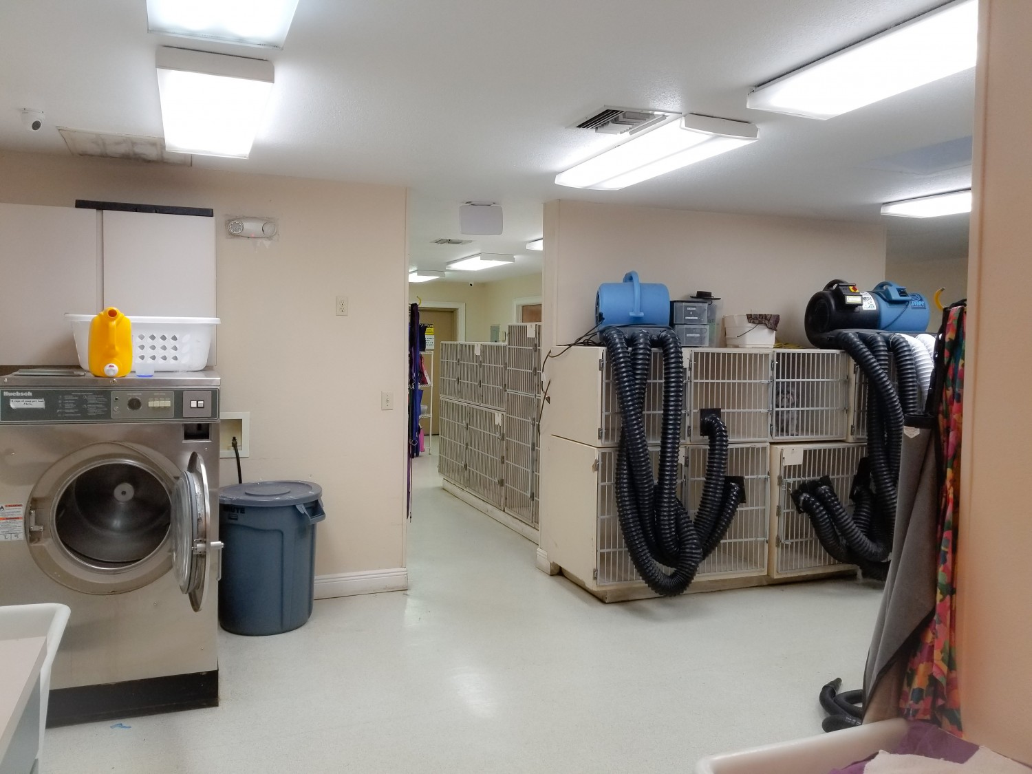 Kennels / Laundry